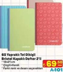 GIPTA 60 YAPRAKLI TEL DİKİŞLİ BRİSTOL KAPAKLI DEFTER 2'Lİ 13X21 CM ÇİZGİLİ/KARELİ